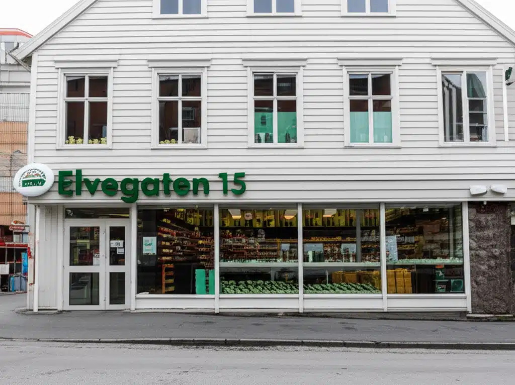 Elvegaten 15: Utrolig utsikt og sentral beliggenhet