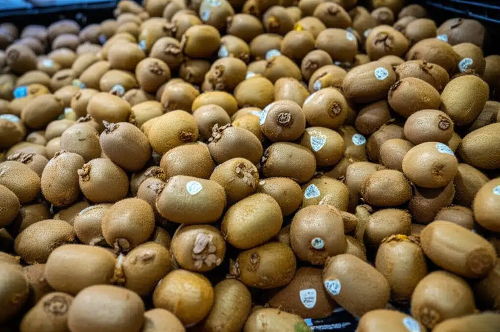 KIWI Elvegata 1 KIWI Elvegata: Butikk, Lokasjon og Åpningstider