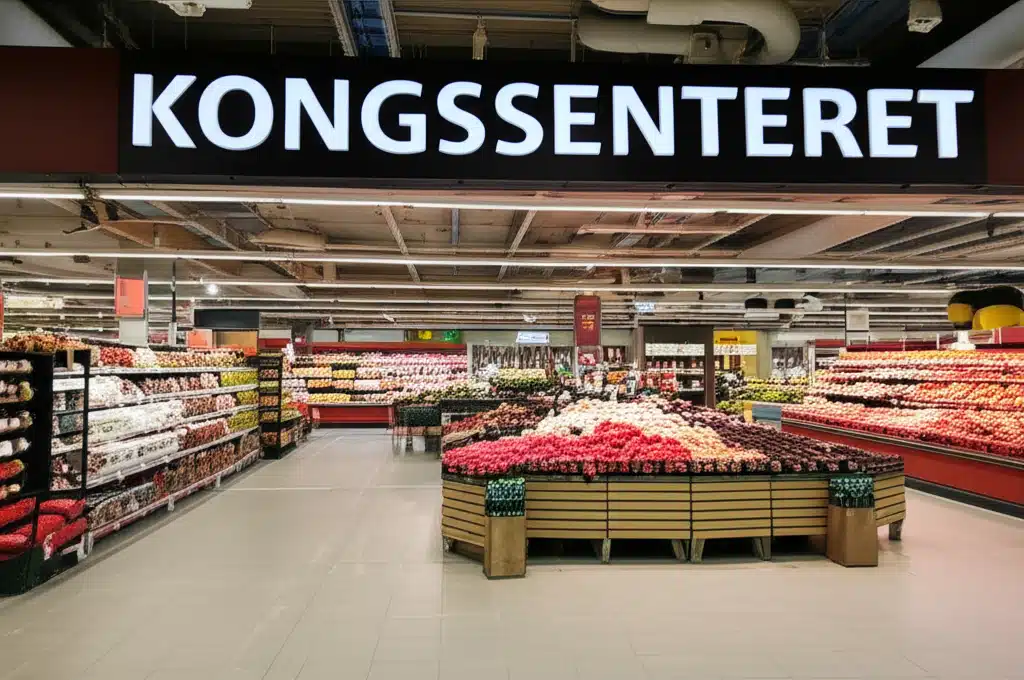 Kongssenteret 1 Kongssenteret: Historisk arkitektur og kulturellt senter i Norge